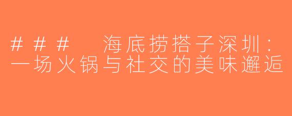 ### 海底捞搭子深圳：一场火锅与社交的美味邂逅