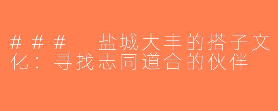 ### 盐城大丰的搭子文化：寻找志同道合的伙伴