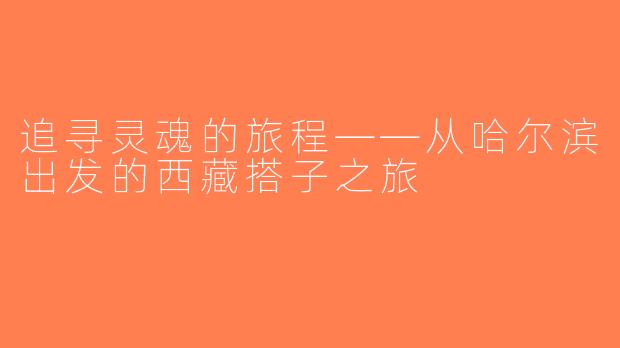 追寻灵魂的旅程——从哈尔滨出发的西藏搭子之旅