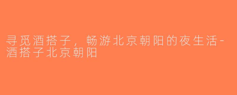 寻觅酒搭子，畅游北京朝阳的夜生活-酒搭子北京朝阳