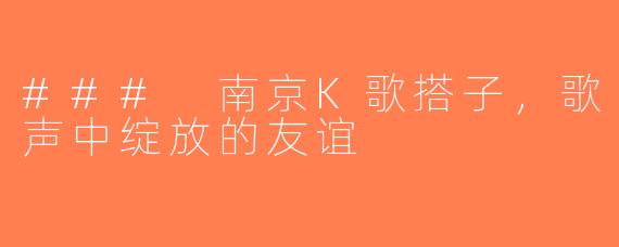 ### 南京K歌搭子，歌声中绽放的友谊