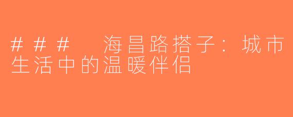 ### 海昌路搭子：城市生活中的温暖伴侣