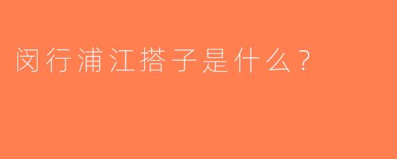 闵行浦江搭子是什么？
