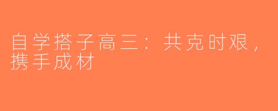 自学搭子高三：共克时艰，携手成材