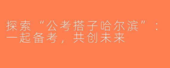探索“公考搭子哈尔滨”：一起备考，共创未来
