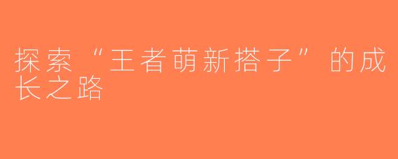 探索“王者萌新搭子”的成长之路