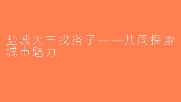 盐城大丰找搭子——共同探索城市魅力
