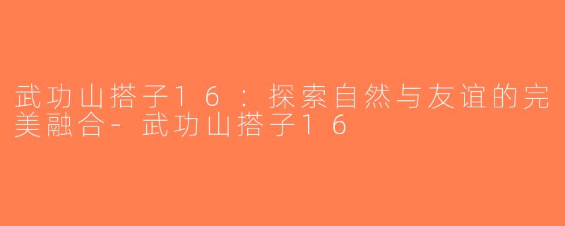 武功山搭子16：探索自然与友谊的完美融合-武功山搭子16