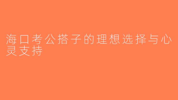 海口考公搭子的理想选择与心灵支持