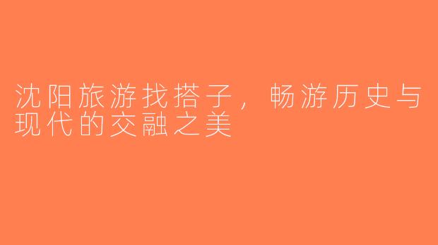 沈阳旅游找搭子，畅游历史与现代的交融之美