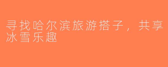 寻找哈尔滨旅游搭子，共享冰雪乐趣