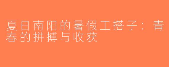 夏日南阳的暑假工搭子：青春的拼搏与收获