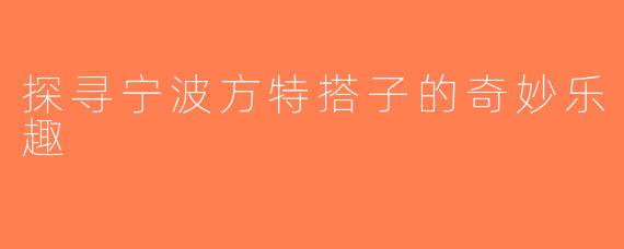 探寻宁波方特搭子的奇妙乐趣