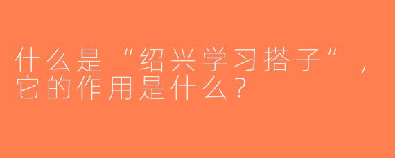 什么是“绍兴学习搭子”，它的作用是什么？