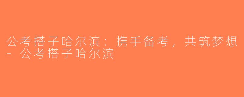 公考搭子哈尔滨：携手备考，共筑梦想-公考搭子哈尔滨