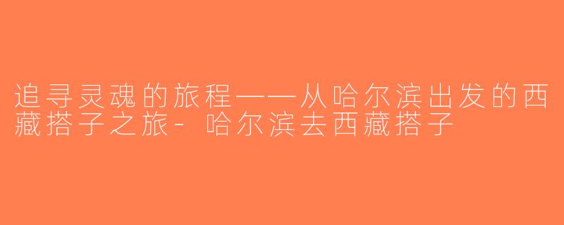 追寻灵魂的旅程——从哈尔滨出发的西藏搭子之旅-哈尔滨去西藏搭子