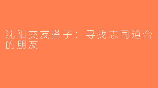 沈阳交友搭子：寻找志同道合的朋友