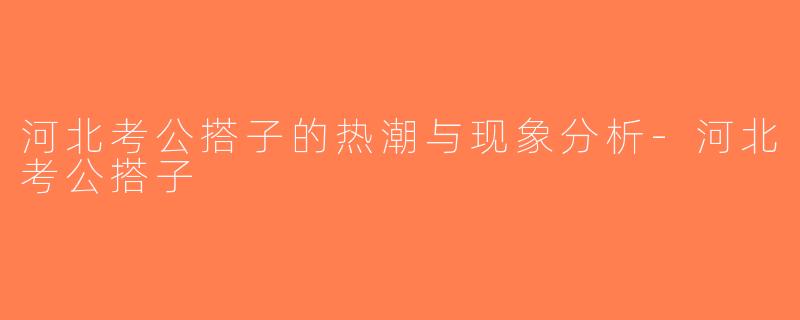 河北考公搭子的热潮与现象分析-河北考公搭子
