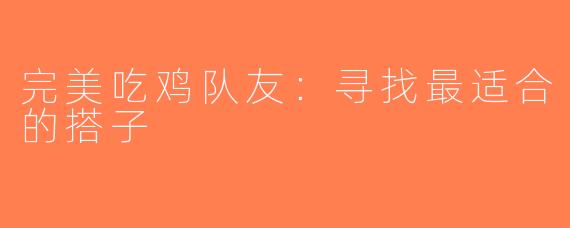 完美吃鸡队友：寻找最适合的搭子