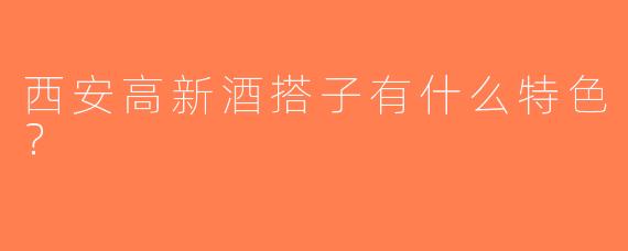西安高新酒搭子有什么特色？