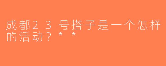 成都23号搭子是一个怎样的活动？**  