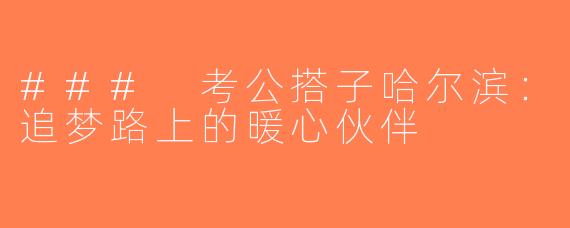 ### 考公搭子哈尔滨：追梦路上的暖心伙伴