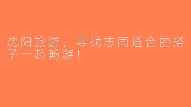 沈阳旅游，寻找志同道合的搭子一起畅游！