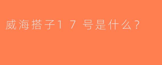 威海搭子17号是什么？