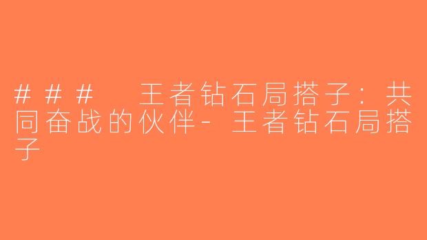 ### 王者钻石局搭子：共同奋战的伙伴-王者钻石局搭子