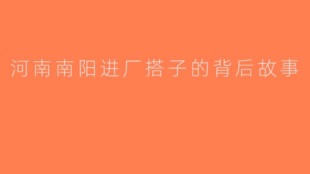 河南南阳进厂搭子的背后故事