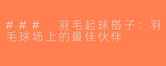 ### 羽毛起球搭子：羽毛球场上的最佳伙伴
