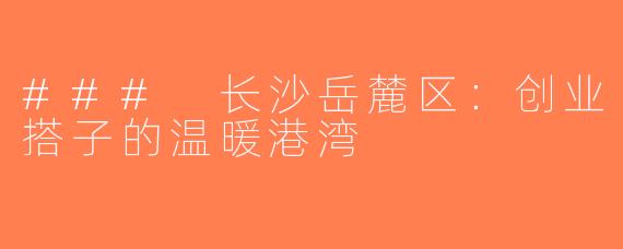 ### 长沙岳麓区：创业搭子的温暖港湾
