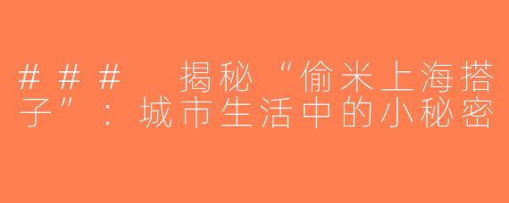 ### 揭秘“偷米上海搭子”：城市生活中的小秘密