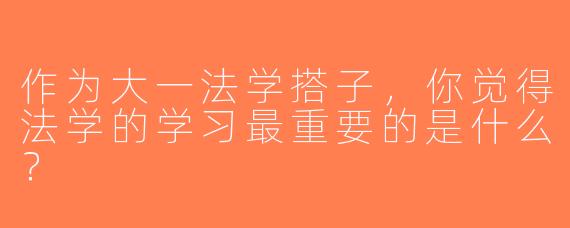 作为大一法学搭子，你觉得法学的学习最重要的是什么？
