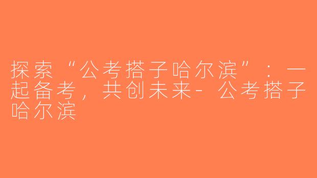 探索“公考搭子哈尔滨”：一起备考，共创未来-公考搭子哈尔滨