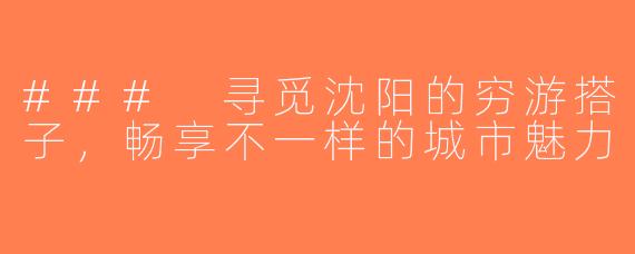 ### 寻觅沈阳的穷游搭子，畅享不一样的城市魅力