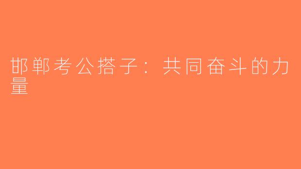 邯郸考公搭子：共同奋斗的力量