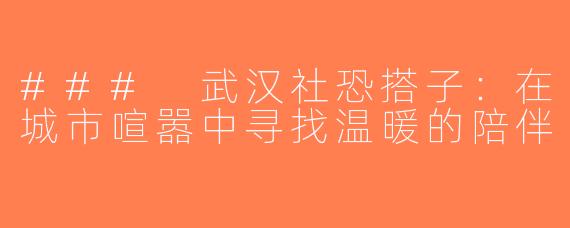 ### 武汉社恐搭子：在城市喧嚣中寻找温暖的陪伴