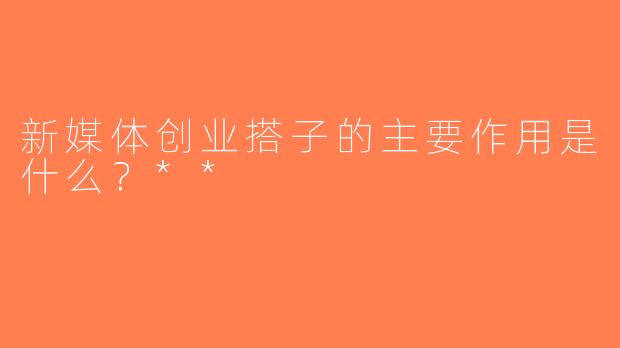新媒体创业搭子的主要作用是什么？**