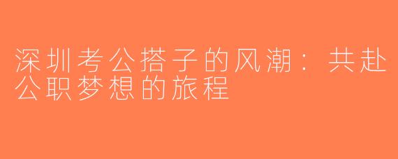 深圳考公搭子的风潮：共赴公职梦想的旅程