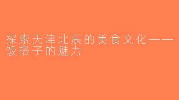 探索天津北辰的美食文化——饭搭子的魅力