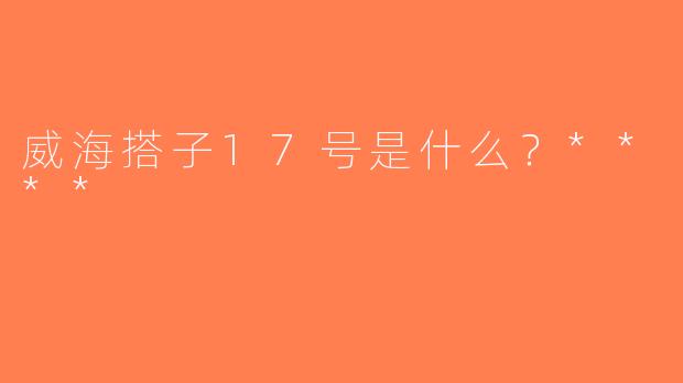 威海搭子17号是什么？****