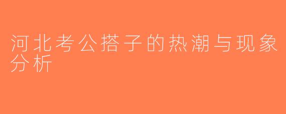 河北考公搭子的热潮与现象分析