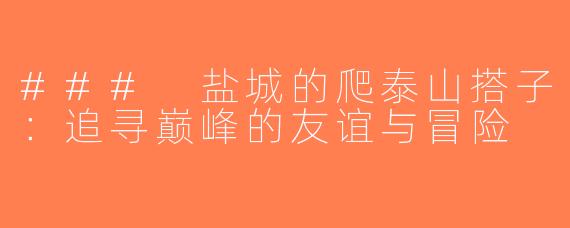### 盐城的爬泰山搭子：追寻巅峰的友谊与冒险