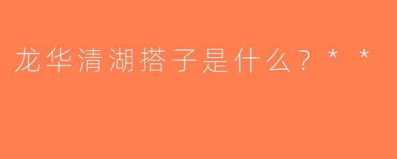 龙华清湖搭子是什么？**  