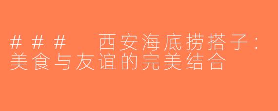 ### 西安海底捞搭子：美食与友谊的完美结合