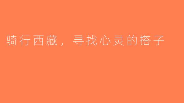 骑行西藏，寻找心灵的搭子