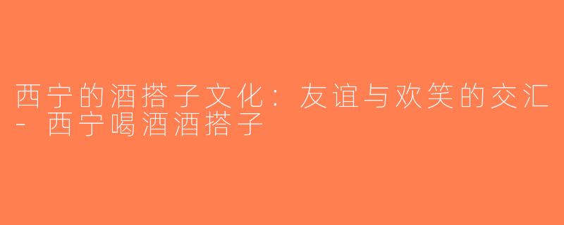 西宁的酒搭子文化：友谊与欢笑的交汇-西宁喝酒酒搭子