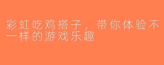 彩虹吃鸡搭子，带你体验不一样的游戏乐趣