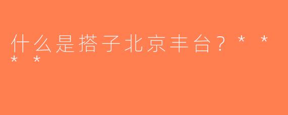 什么是搭子北京丰台？****